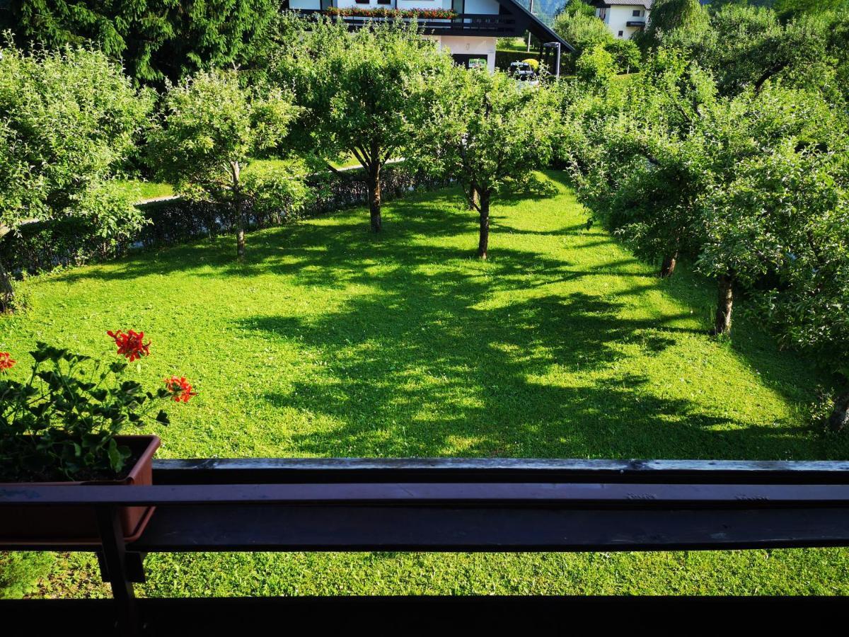 Jaka Apartments 布莱德 外观 照片